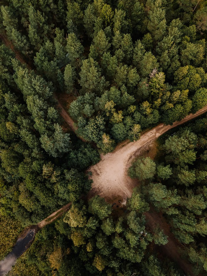 Aerial photograph showing a forest intersection with dense green trees and a dirt path.